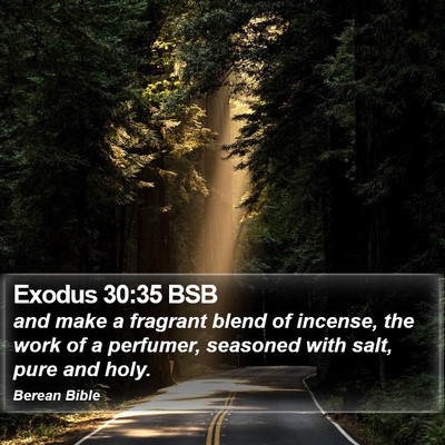 Exodus 30:35 BSB Bible Verse Image