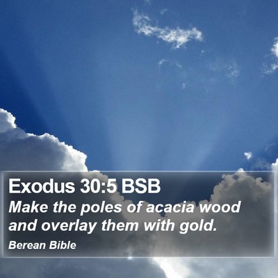 Exodus 30:5 BSB Bible Verse Image