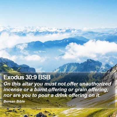 Exodus 30:9 BSB Bible Verse Image