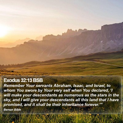 Exodus 32:13 BSB Bible Verse Image