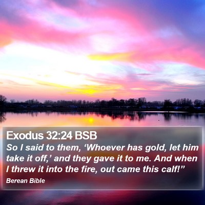 Exodus 32:24 BSB Bible Verse Image