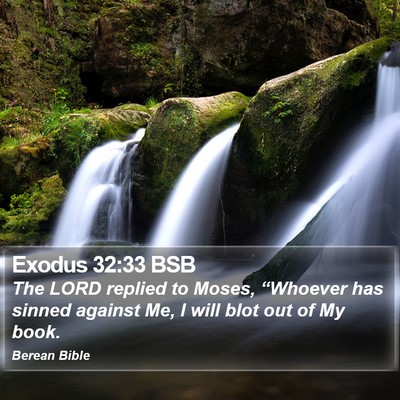 Exodus 32:33 BSB Bible Verse Image