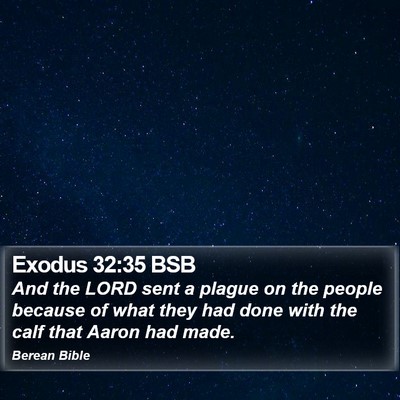 Exodus 32:35 BSB Bible Verse Image