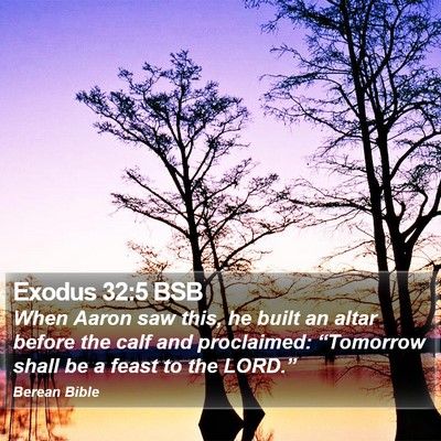 Exodus 32:5 BSB Bible Verse Image