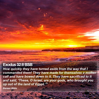 Exodus 32:8 BSB Bible Verse Image