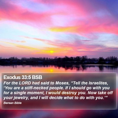 Exodus 33:5 BSB Bible Verse Image