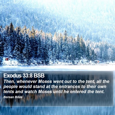 Exodus 33:8 BSB Bible Verse Image
