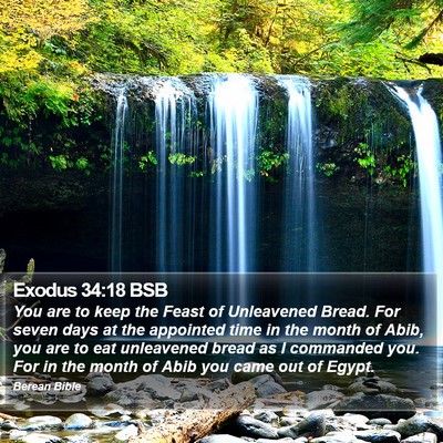 Exodus 34:18 BSB Bible Verse Image