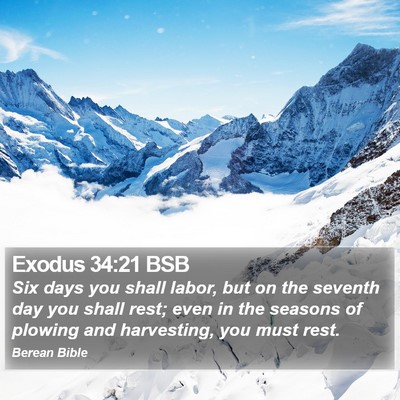 Exodus 34:21 BSB Bible Verse Image