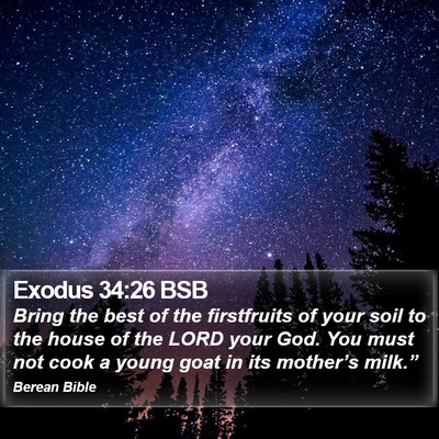Exodus 34:26 BSB Bible Verse Image