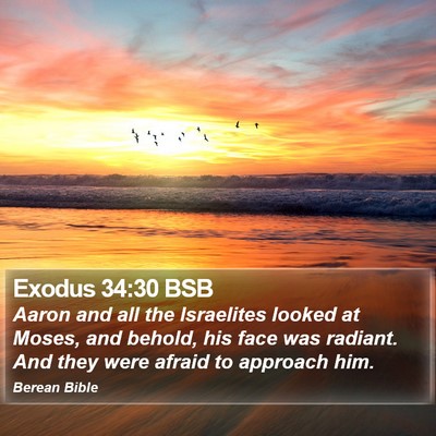 Exodus 34:30 BSB Bible Verse Image