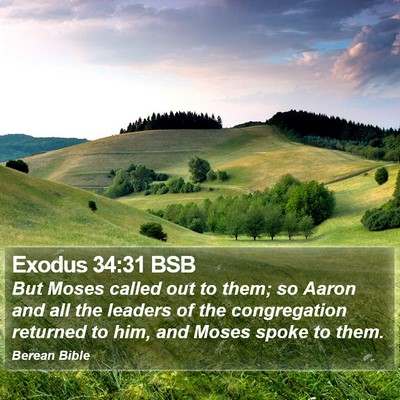 Exodus 34:31 BSB Bible Verse Image