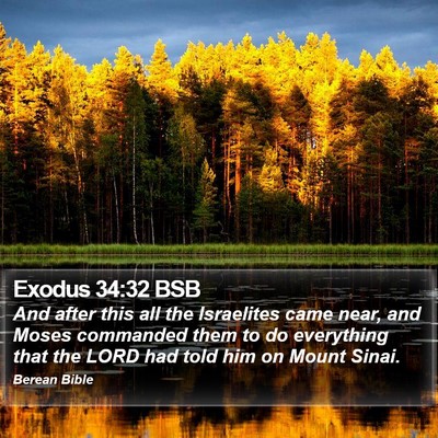 Exodus 34:32 BSB Bible Verse Image