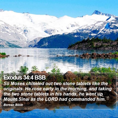 Exodus 34:4 BSB Bible Verse Image