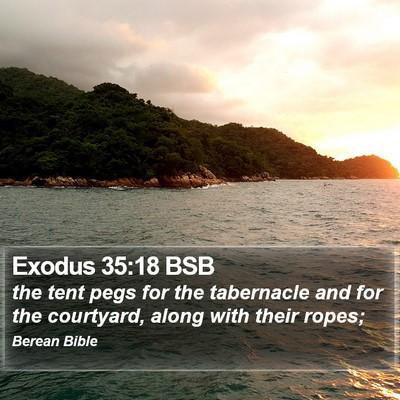 Exodus 35:18 BSB Bible Verse Image