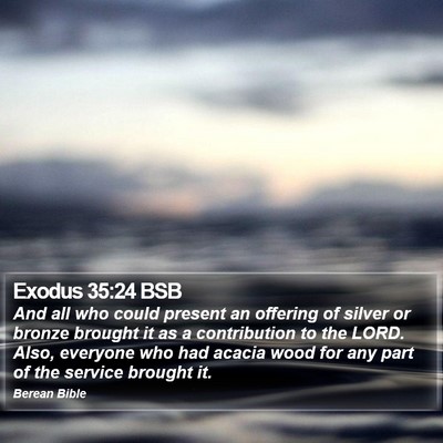 Exodus 35:24 BSB Bible Verse Image