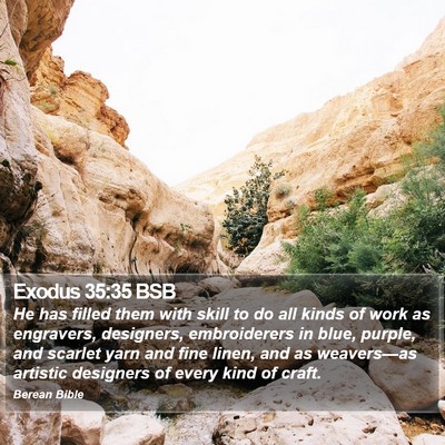 Exodus 35:35 BSB Bible Verse Image
