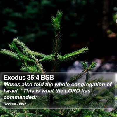 Exodus 35:4 BSB Bible Verse Image