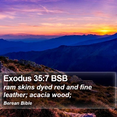 Exodus 35:7 BSB Bible Verse Image