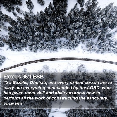 Exodus 36:1 BSB Bible Verse Image