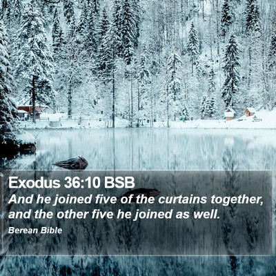 Exodus 36:10 BSB Bible Verse Image