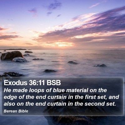 Exodus 36:11 BSB Bible Verse Image
