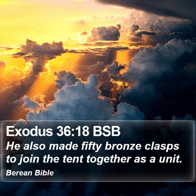 Exodus 36:18 BSB Bible Verse Image