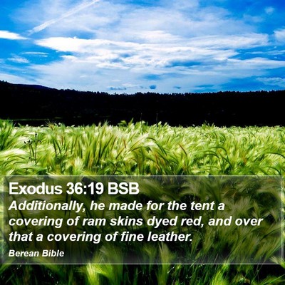Exodus 36:19 BSB Bible Verse Image