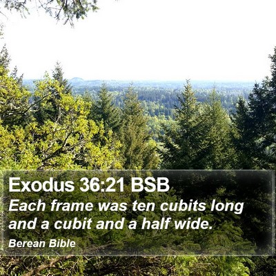 Exodus 36:21 BSB Bible Verse Image