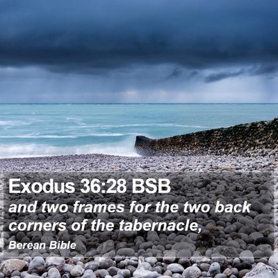 Exodus 36:28 BSB Bible Verse Image