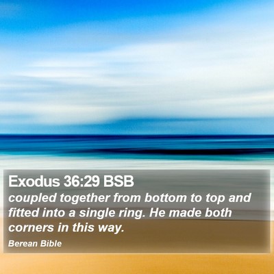 Exodus 36:29 BSB Bible Verse Image