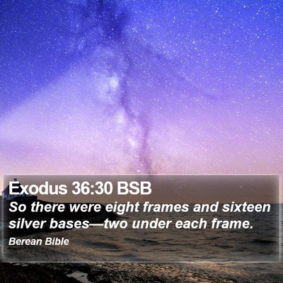 Exodus 36:30 BSB Bible Verse Image