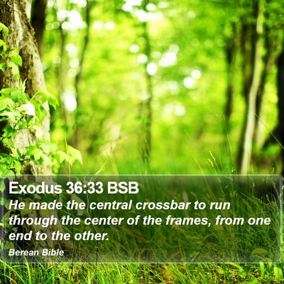 Exodus 36:33 BSB Bible Verse Image