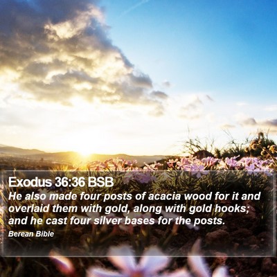 Exodus 36:36 BSB Bible Verse Image