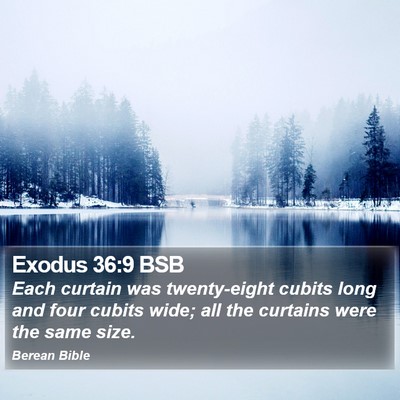 Exodus 36:9 BSB Bible Verse Image