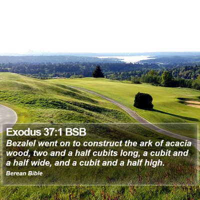 Exodus 37:1 BSB Bible Verse Image