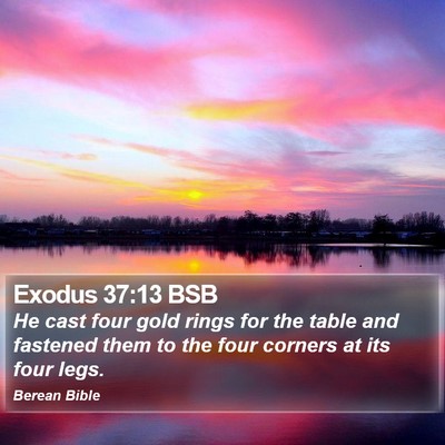 Exodus 37:13 BSB Bible Verse Image