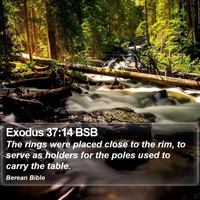 Exodus 37:14 BSB Bible Verse Image