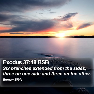 Exodus 37:18 BSB Bible Verse Image