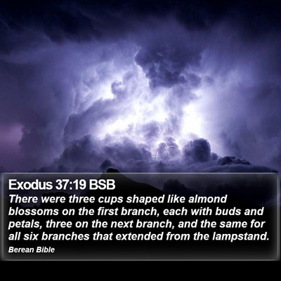 Exodus 37:19 BSB Bible Verse Image