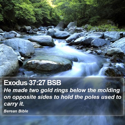 Exodus 37:27 BSB Bible Verse Image