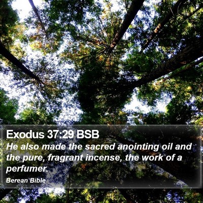Exodus 37:29 BSB Bible Verse Image