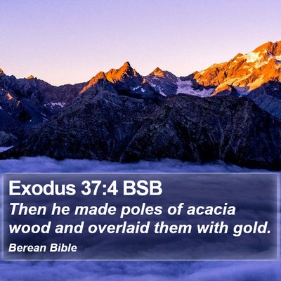 Exodus 37:4 BSB Bible Verse Image