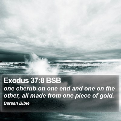 Exodus 37:8 BSB Bible Verse Image