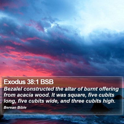 Exodus 38:1 BSB Bible Verse Image