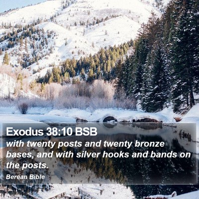 Exodus 38:10 BSB Bible Verse Image