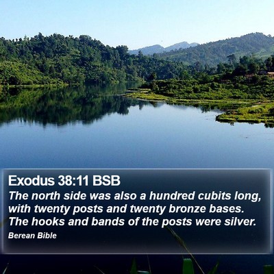 Exodus 38:11 BSB Bible Verse Image