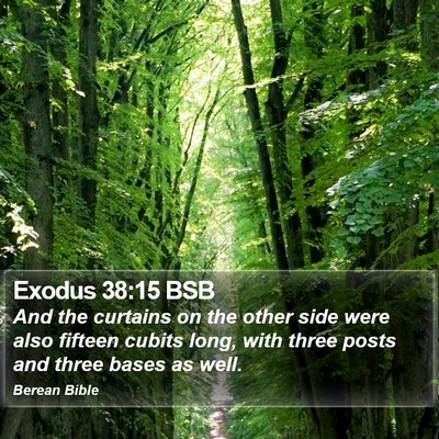 Exodus 38:15 BSB Bible Verse Image