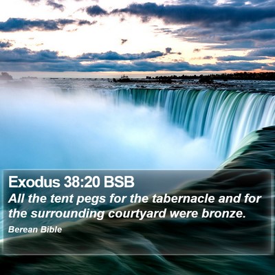 Exodus 38:20 BSB Bible Verse Image