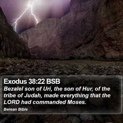 Exodus 38:22 BSB Bible Verse Image